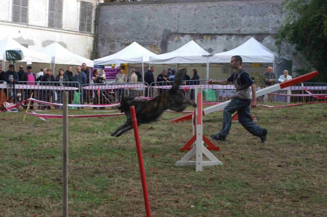 foire-haricots 2011-09-17et18